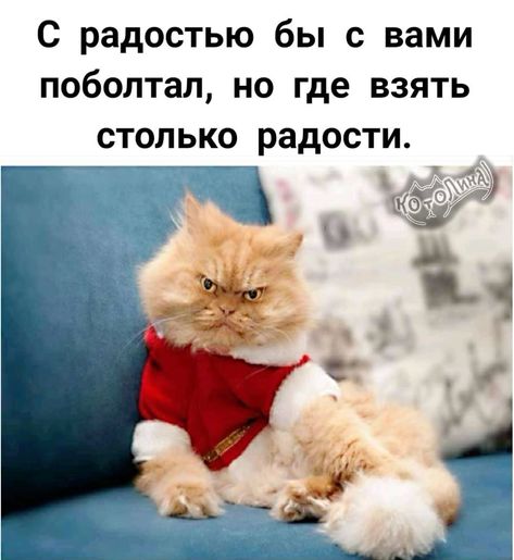 https://img1.liveinternet.ru/images/attach/d/4/163/384/163384455_4743317_fb60fbd79ce8cb2064aedb47eab57399.jpg