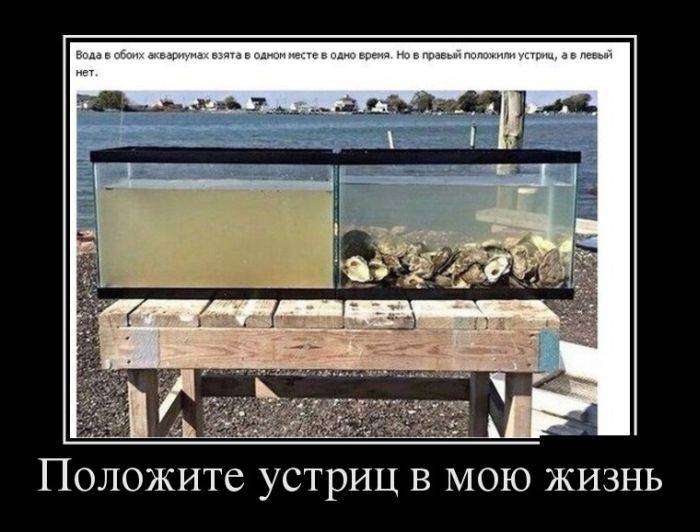 4743317_1441601996_10 (700x532, 49Kb)