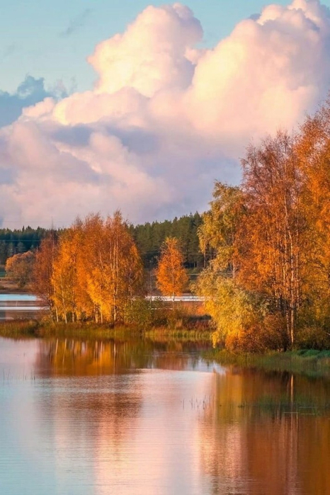 Без названия (4) (466x700, 325Kb)