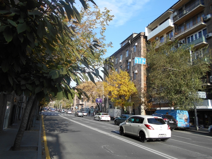 4878453_DSCN0085 (700x525, 326Kb)