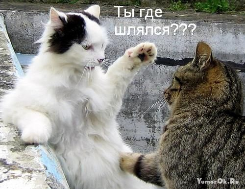 4743317_pic_8 (500x386, 140Kb)