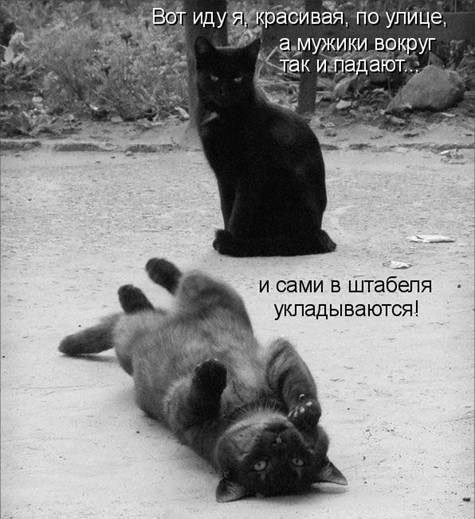 4743317_pic_2 (475x519, 90Kb)