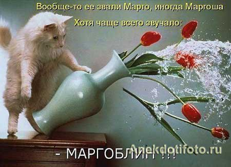 4743317_pic_5 (450x325, 109Kb)