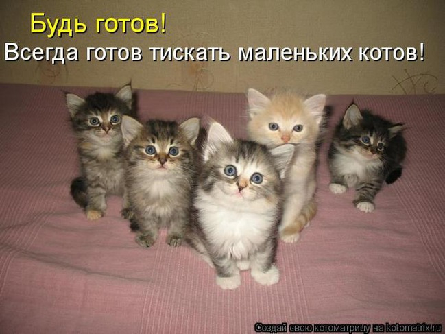 4743317_pic_3 (649x487, 198Kb)