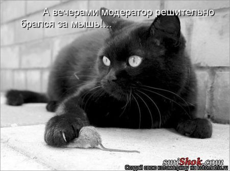 4743317_pic_1 (450x336, 56Kb)