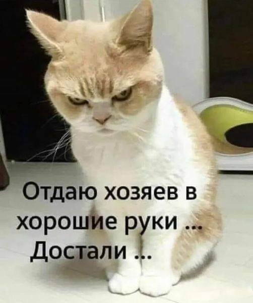 https://img1.liveinternet.ru/images/attach/d/4/163/417/163417779_3416556_469047581_122190727172243668_4169898681591075505_n.jpg