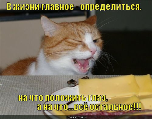 4743317_pic_7 (500x392, 138Kb)