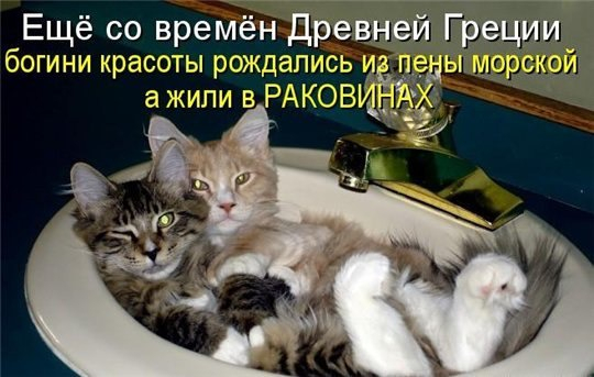 4743317_pic_1 (540x343, 150Kb)