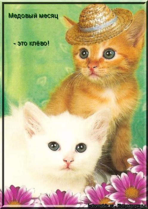 4743317_EN (496x700, 51Kb)