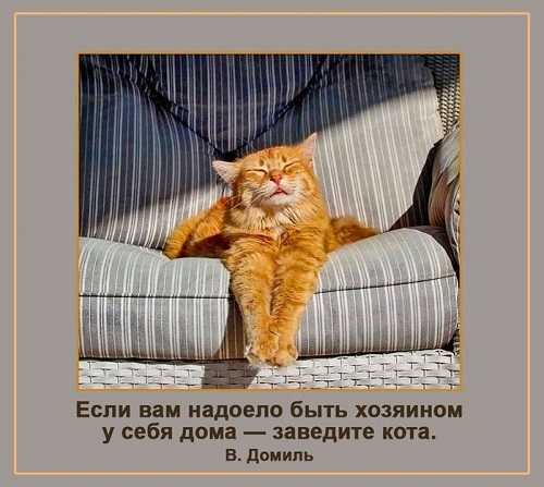 163417782_3416556_953e55af32140fc085bc12ace0689d5b (500x447, 164Kb)