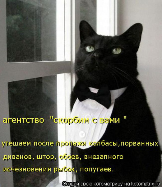 4743317_i5370 (521x600, 77Kb)