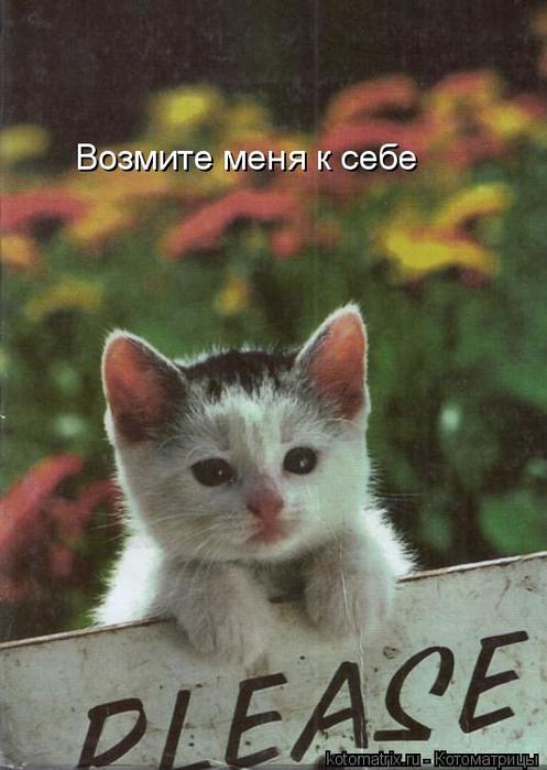 4743317_rX (497x700, 45Kb)