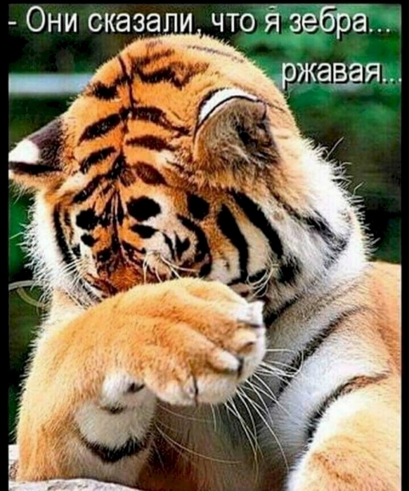 4743317_52e10214 (582x700, 293Kb)