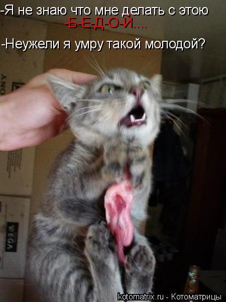 4743317_V_1_ (450x600, 37Kb)