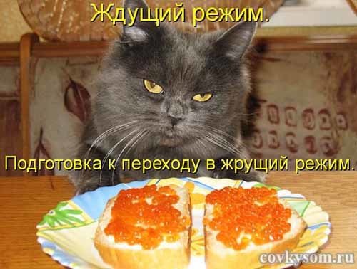 4743317_i22729 (500x378, 37Kb)