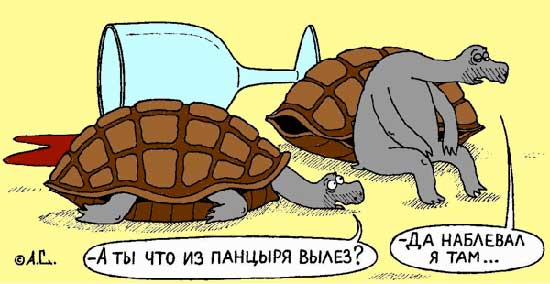 4743317_anekdotyprocherepah01 (550x284, 28Kb)