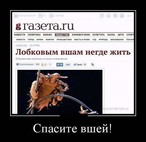 4743317_1441690365_23 (600x585, 38Kb)