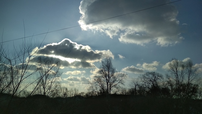 IMG_20241215_105759 (700x393, 116Kb)