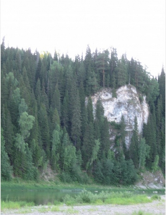 4743317_medium47935 (540x700, 119Kb)