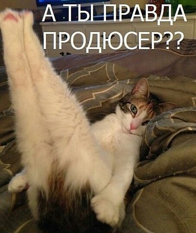 4743317_i17414 (405x480, 42Kb)