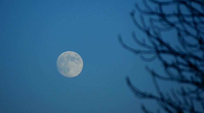 DSC01111._ (700x390, 183Kb)