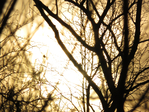  IMG_8209 (700x525, 611Kb)