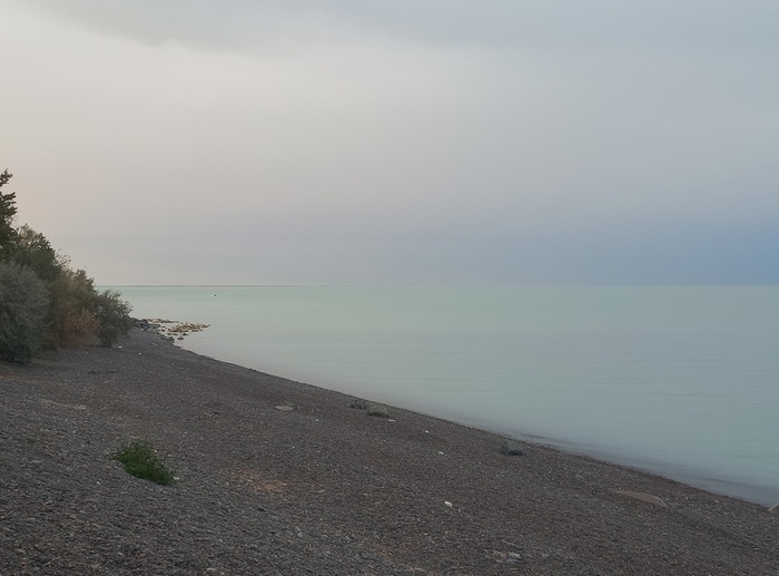 163135460_20241010_060619 (700x517, 74Kb)