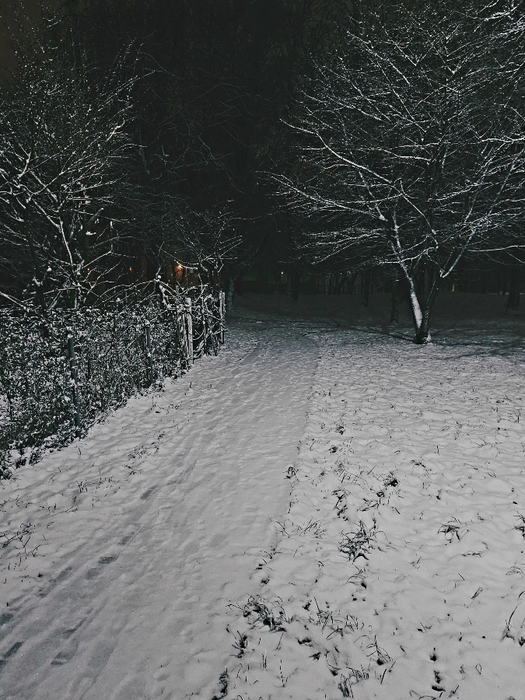 1000069733 (525x700, 419Kb)