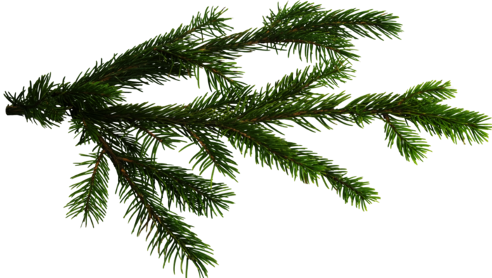 08112023_ (4) (1) (350x197, 322Kb)