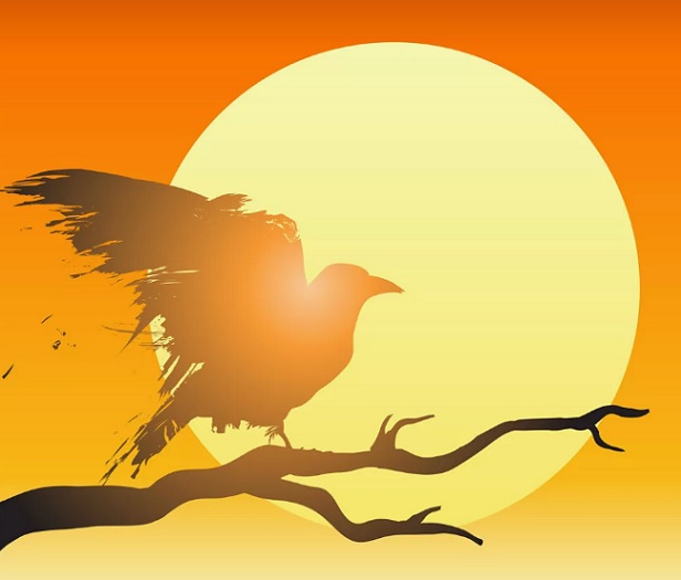 4752699_test_lichnaya_jizn3 (616x525, 49Kb)