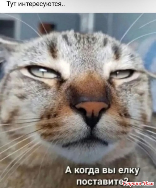 https://img1.liveinternet.ru/images/attach/d/4/163/501/163501213_3416556_27784346_51791thumb500.jpg