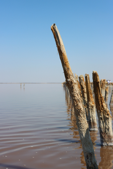 IMG_0719 (466x700, 354Kb)