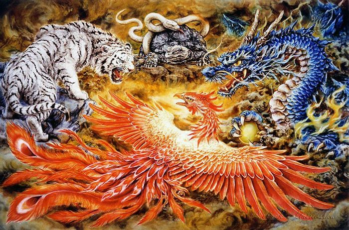 3109898_8_tig_drakon (700x462, 116Kb)
