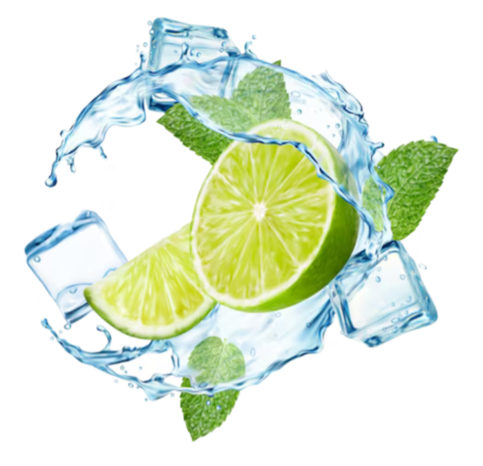 Remove-bg.ai_1735315032439 (700x674, 434Kb)