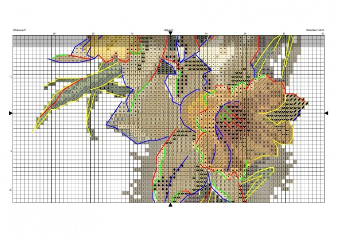   (690x488, 291Kb)