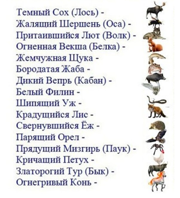  (608x667, 551Kb)