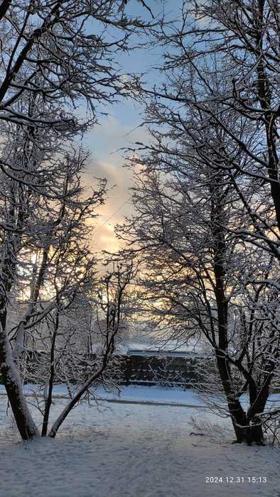 IMG-20241231-WA0036 (394x700, 62Kb)