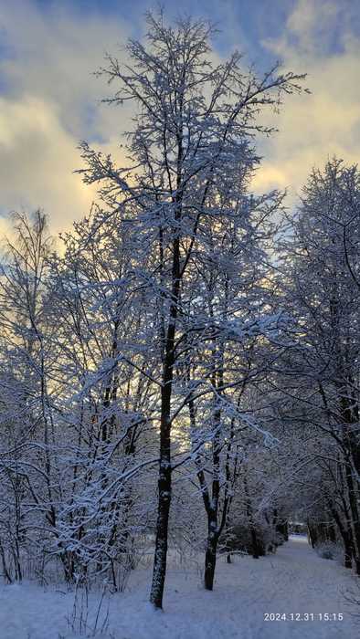 IMG-20241231-WA0038 (394x700, 51Kb)