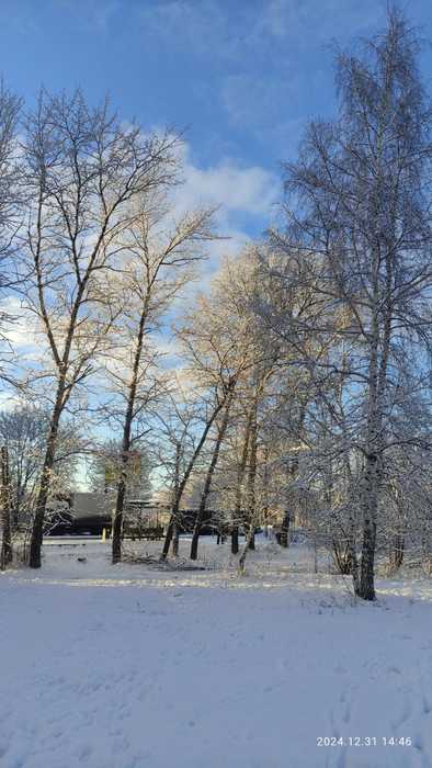 IMG-20241231-WA0032 (394x700, 38Kb)