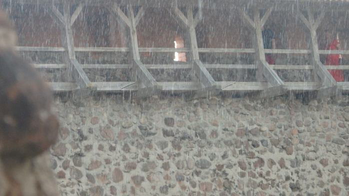 P6190436 (700x393, 279Kb)