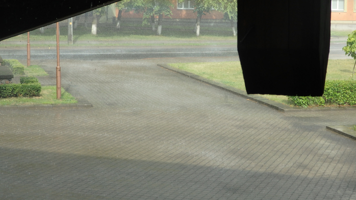 P6190446 (700x393, 259Kb)