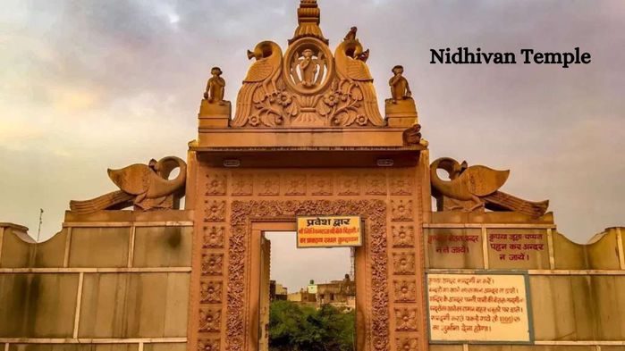 Nidhivan Temple (700x393, 47Kb)
