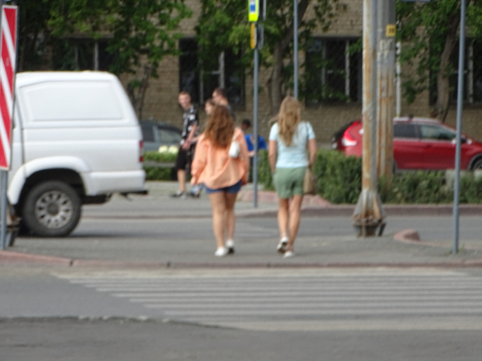 DSC00284 (700x525, 315Kb)
