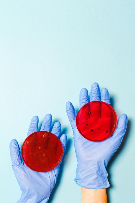 cells13435 (466x700, 30Kb)