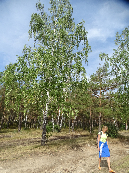 DSC00528 (525x700, 575Kb)