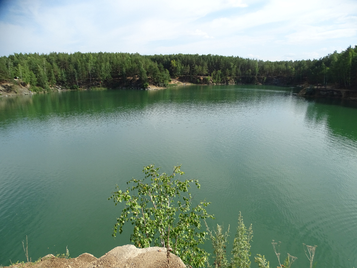 DSC00545 (700x525, 370Kb)
