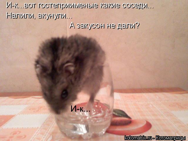 4743317_Bd (640x480, 38Kb)