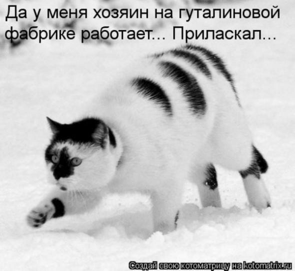 4743317_i21698 (590x542, 33Kb)