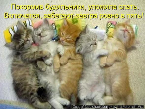 4743317_i17320 (590x442, 44Kb)