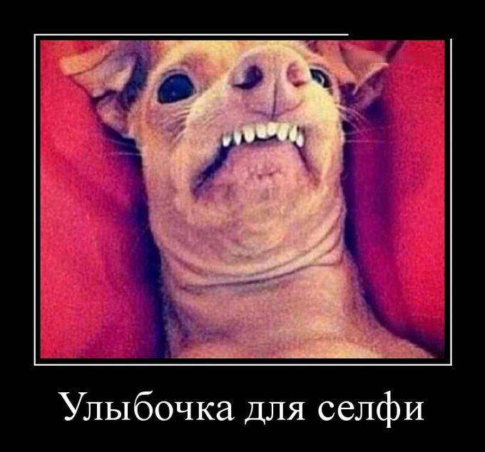 4743317_1441774910_08 (680x635, 45Kb)